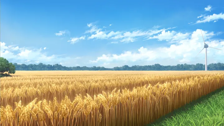 苫前町 / スピカの麦畑 / 01